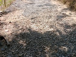 Breaking News Siang ,”Proyek Pengaspalan Desa Gentong CV ELZA JAYA Di Pinjam Orang Lain