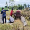 Gabah Gapoktan,”Mantep Desa Tegal Pasir Kecamatan Jambisari Ditolak Bulog, Terpaksa Jual ke Tengkulak dengan Harga Murah