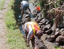 Proyek Siluman Tanpa Papan Nama Desa Tangsil Kulon Dibiayai Oleh APBN Tahun 2025