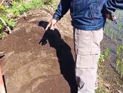 Tangsil Kulon,” Proyek Siluman Tanpa Papan Nama Menggunakan Pasir Padas Tidak SNI Dan Dikerjakan Asal Asalan.