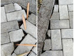 Proyek ,”Siluman,”Pekerjaan Paving Di Dusun Plasaan RT 40 Tidak Menggunakan Papan Nama Proyek